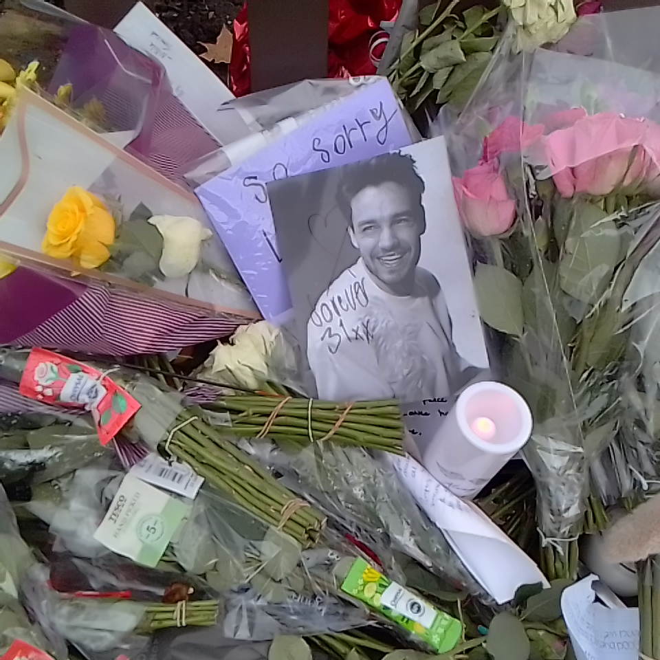 Fly High Angel, Forever 31 (a letter to Liam Payne)